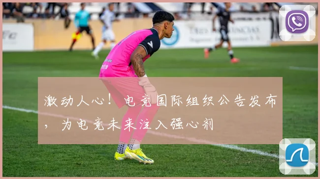 激动人心！电竞国际组织公告发布，为电竞未来注入强心剂