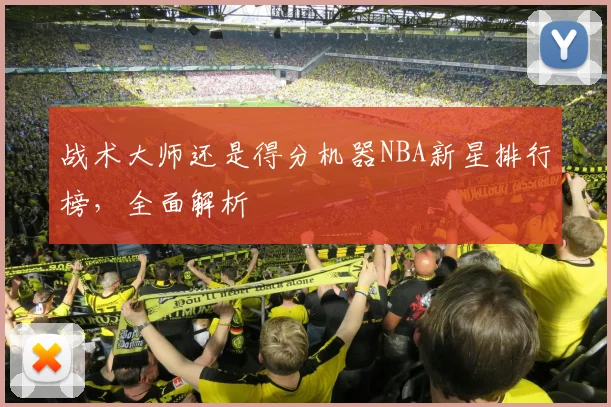 战术大师还是得分机器NBA新星排行榜，全面解析