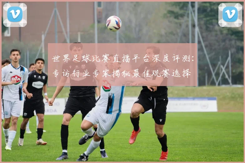 世界足球比赛直播平台深度评测：专访行业专家揭秘最佳观赛选择