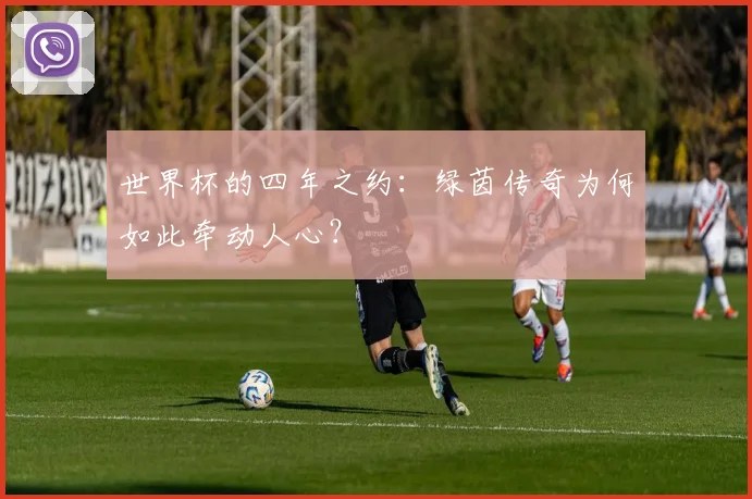 世界杯的四年之约:绿茵传奇为何如此牵动人心?
